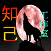 【知己工作室】为你娱乐休闲